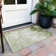 Machine Washable Indoor/Outdoor Xhevrie Sage Rug