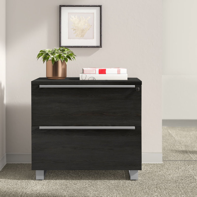 Maysey 32'' Wide 2 -Drawer File Cabinet, Espresso/Silver