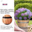 Handmade Wood Barrel Planter-2027707625