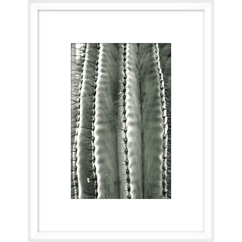 Silver Spike Small 1 Framed Photographic Print