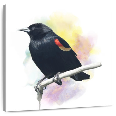 Red Winged Blackbird