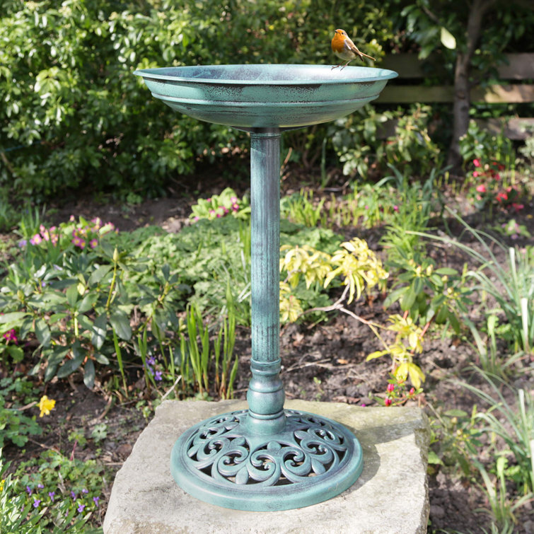 Fleur De Lis Living Sally Bird Bath | Wayfair.co.uk