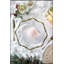 Paquet de 8 assiettes de présentation en plastique, P 13 po-1203257593