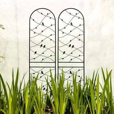 Metal Garden Trellis 71" X 19.7"  2 Pack , Rustproof Outdoor Plant Holder, Black. Simple To Assemble, Galvanized Metal, Suited For Climbing Plants Lik