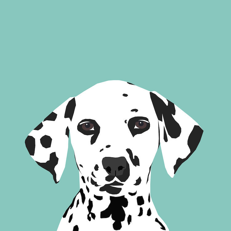 Dalmatien, impression sur toile tendue, H 12 po x l 12 po x P 1,5 po, Pas de tapis, Toile tendue
