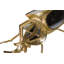Animals Figurines & Sculptures-106563856