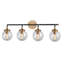 Dion 4 Light Transparent Dimmable Vanity Light