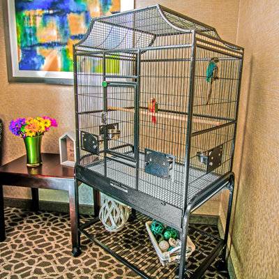 Elinor 55" Iron Victorian Top Floor Bird Cage with Wheels