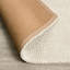 Cosi Area Rug in Ivory-857231339