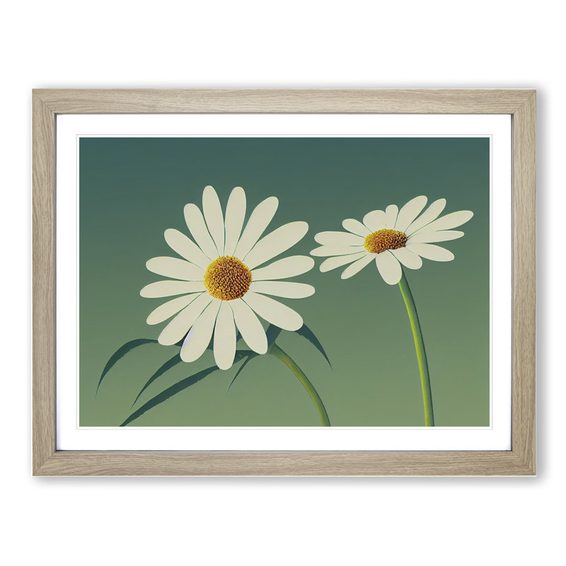 Gorgeous Daisy Flowers 1 Piece Single Picture Frame Wall Art, 25cm H x 34cm W x 2cm D, Oak Framed