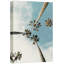 «Blue Sky and Palm Trees Southwest» sur-99543130