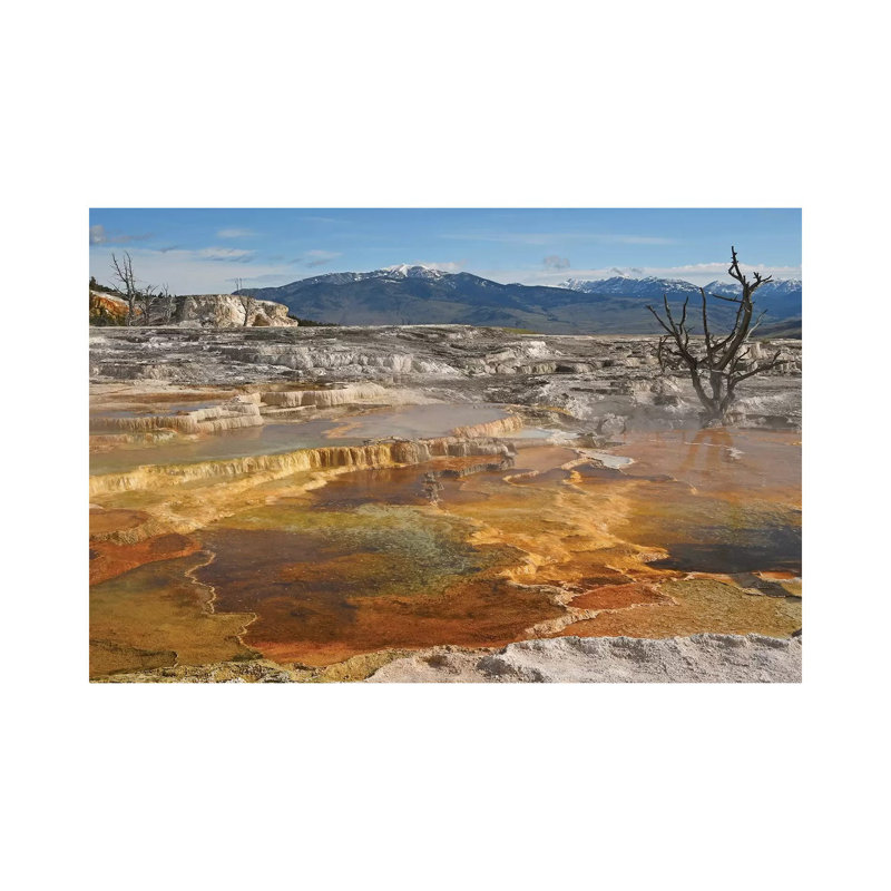 Canary Springs by Brian Wolf - Wrapped Canvas Print, 30.48cm H x 45.72cm W x 1.91cm D