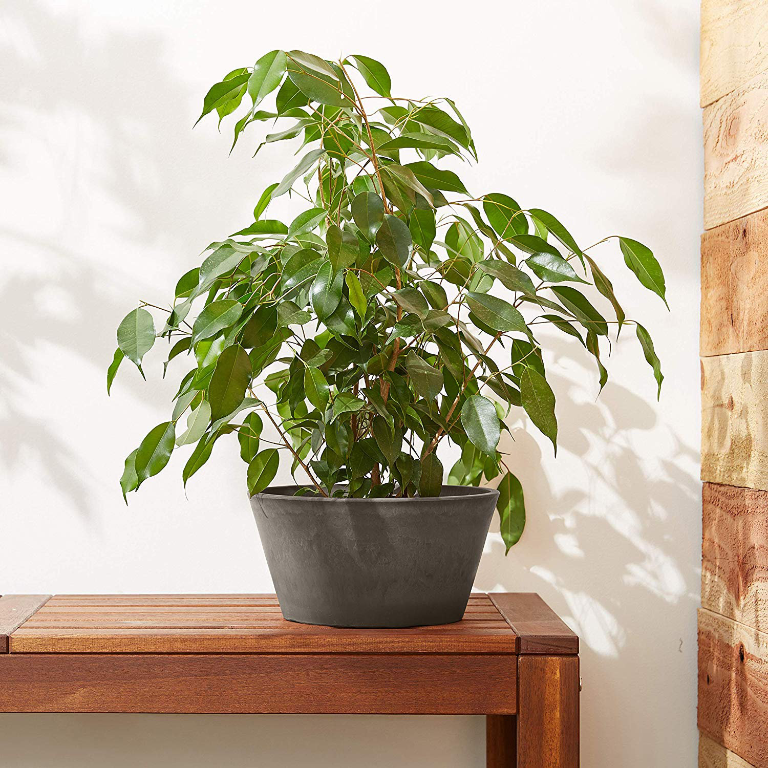 Gracie Oaks Myer Pot Planter & Reviews Wayfair