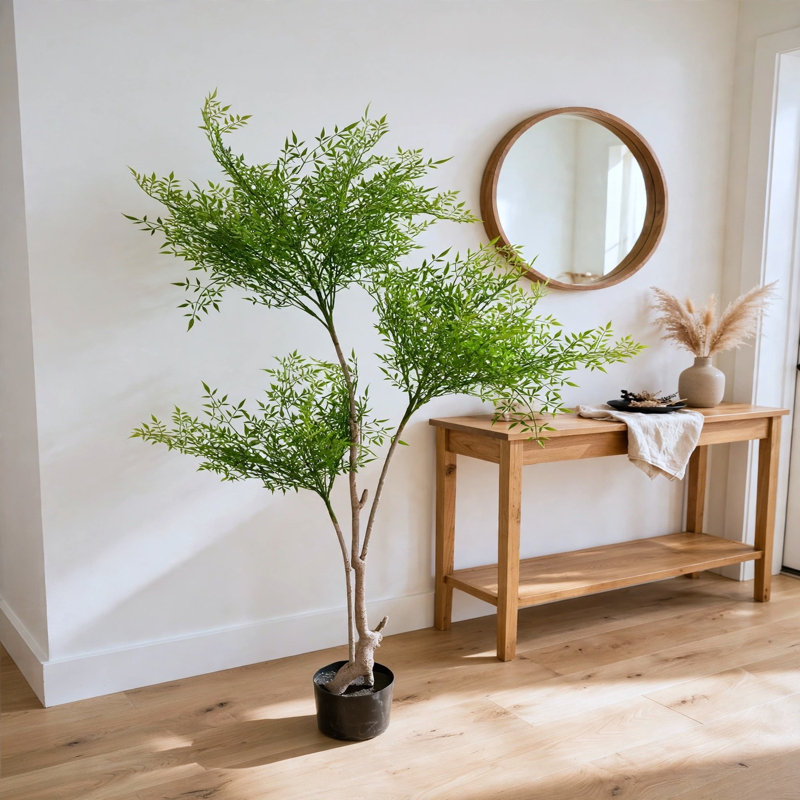 Arbre de bambou céleste 5,5 pi avec folioles vert vif et tronc fourchu naturel dans un pot de fleurs noir