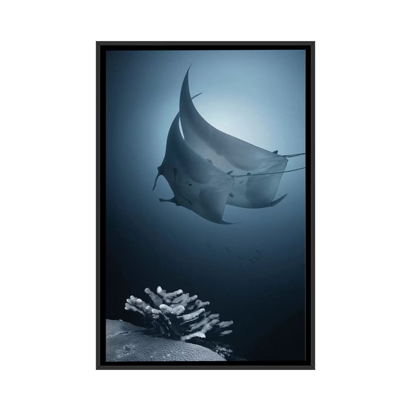 « sonata », impression sur toile, H 26 po x l 18 po x P 1,5 po, Toile avec cadre noir, Pas de tapis