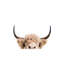 Peeking Cow - Wrapped Canvas Print-651292560