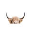 Peeking Cow - Wrapped Canvas Print-651292563