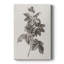 Vintage Floral Print CCCXVI -Gallery Wrapped Cavas-1792995499