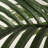 Newnan 5FT Golden Cane Artificial Palm Tree for Home Decor