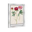 Red And Pink Peony Botanical Study by Oliver Gal-68916642-68916644
