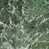 Forest Marble