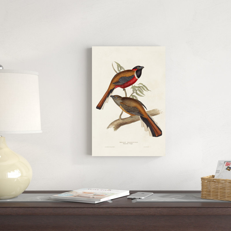 Elegant Trogons IV, H 18 po x l 12 po x P 1,25 po