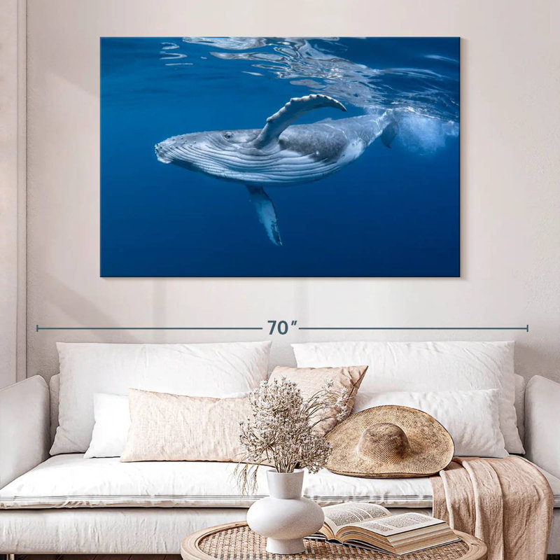 Brampt Baby Humpback Whale, 34" H x 51" W
