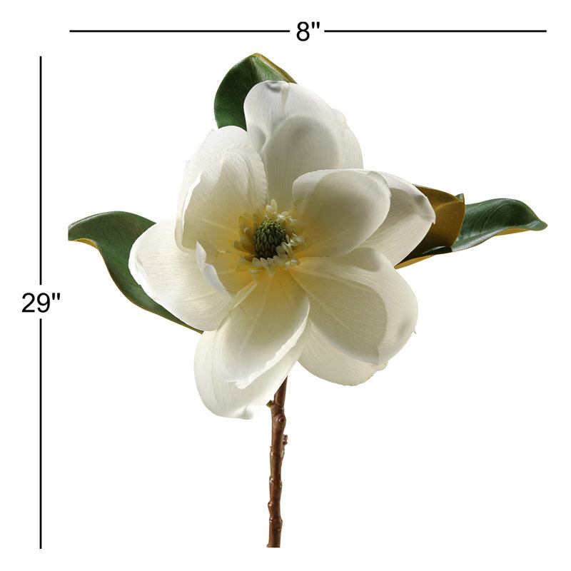 Tige de magnolia