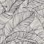 Superfresco Easy Kaya Mono Tropical Leaf Wallpaper