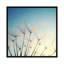 « make a voeu », reproduction de photo sur toile-72784650-72784651-72784652