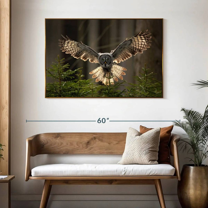 Flying Owl, 46" X 31", Floating Frame Gold