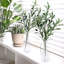 4 pièces de 35 pouces de feuilles d'olivier artificielles à longues tiges de plantes d'eucalyptus artificielles pour le bricolage arrangement de bouquets de vases de bouquets de mariage