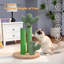Grattoir pour chat Oasis Series