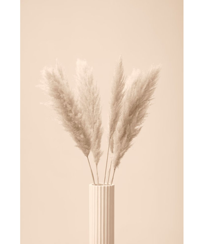 Wrapped Canvas Print, 60.96cm H x 91.44cm W