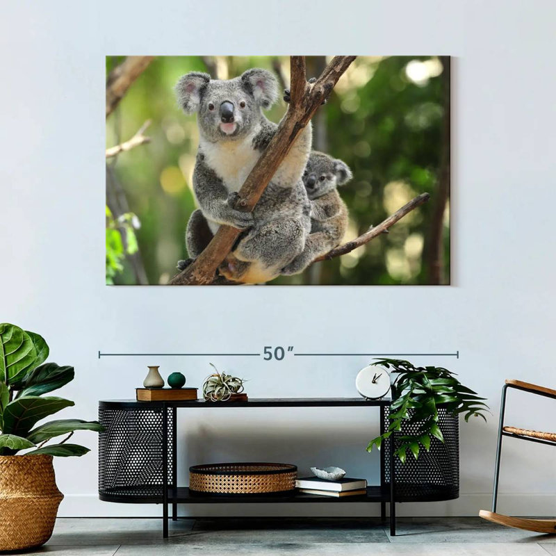 Australian Koala Bears, 32" H x 48" W