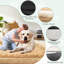 Lit pour chien apaisant pour petits chiens-113506508-113506509