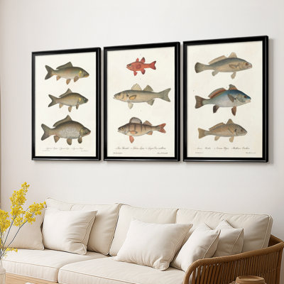 Espèces de poissons antiques I - Toile tendue avec châssis sur mesure - 3 pièces