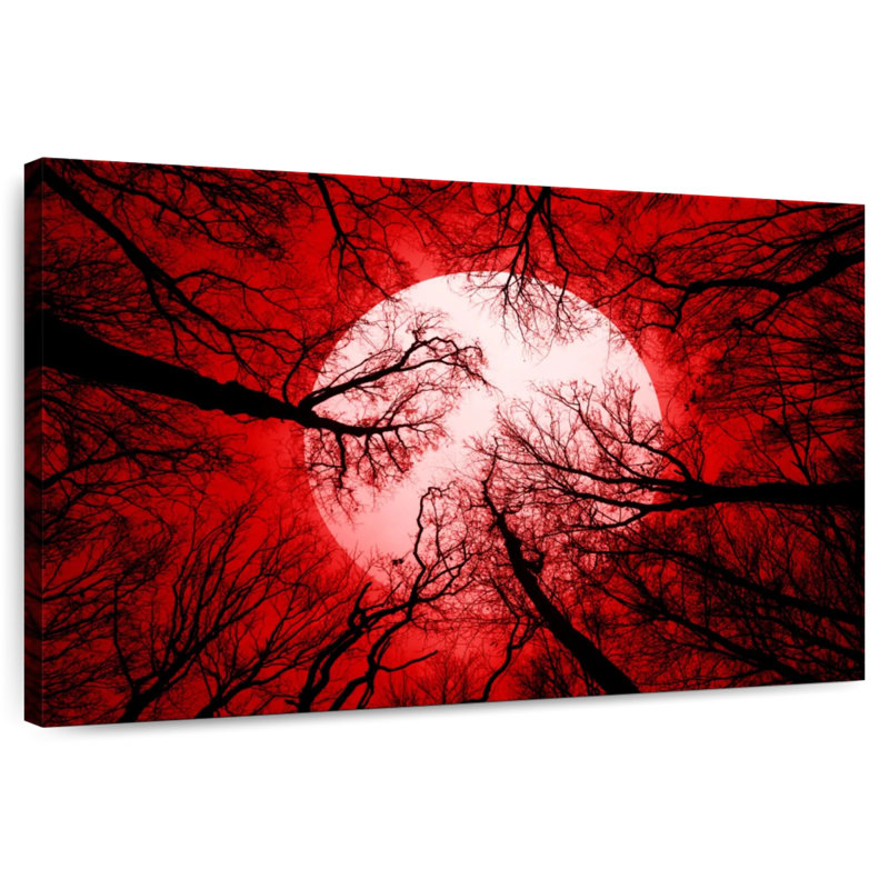 Hitzel Halloween Night Sky, 34" H x 51" W