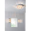 Shadow Glass Flush Mount