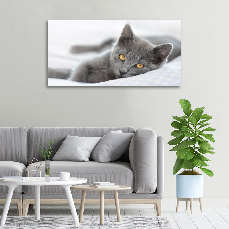 Gray Cat - No Frame Print on Canvas