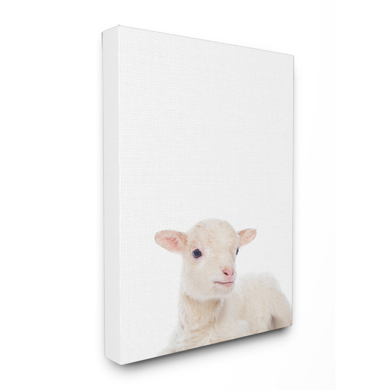 « baby agneau studio », art sur toile photo, H 30 po x l 24 po x P 1,5 po