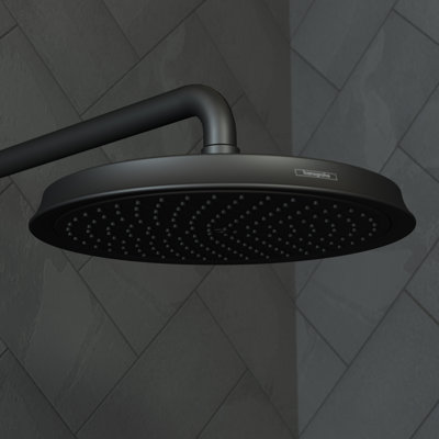 Raindance C 240 Shower Head