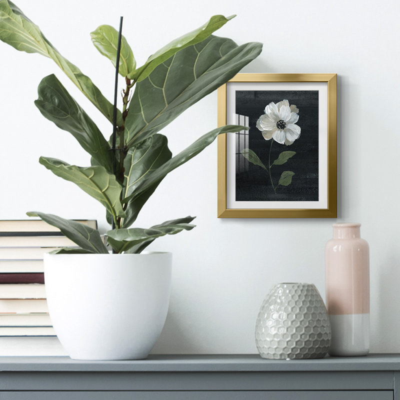Salazar -Gallery Wrapped Canvas