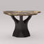 Arboresce Live-Edge Petrified Wood Console Table