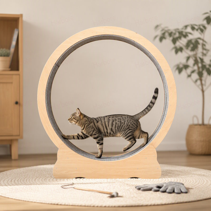Roue d'exercice en bois pour chat, grande roue de tapis roulant pour chats d'intérieur