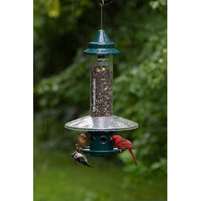 Brome Weather Guard For Squirrel Buster Plus Bird Feeder