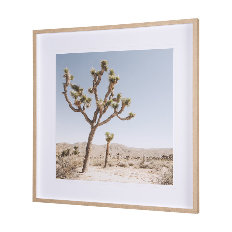 Joshua Tree 1 by THE Studio a Framed Art Print Matted under Glass