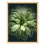 Petit vert riche, Echeveria, plante grasse, tranquillité, Illustration de la nature, petite œuvre d'art-101376755-101376757