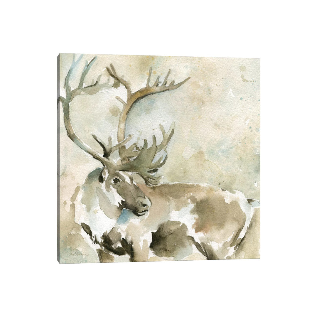 Print on Canvas
