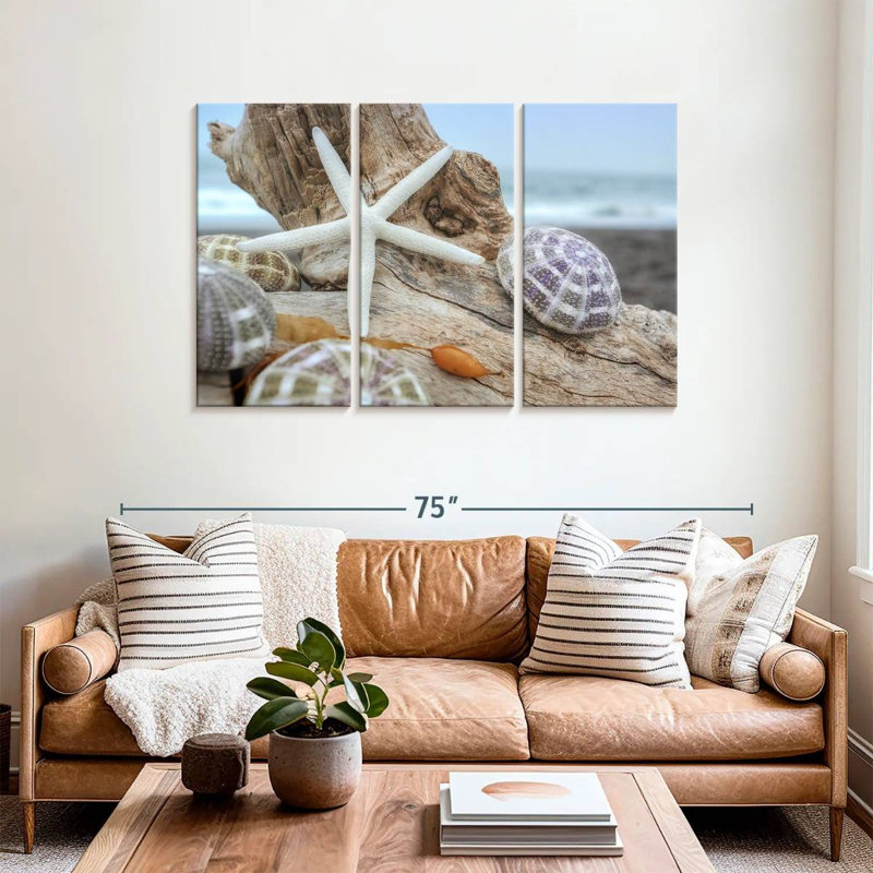 White crescent beach shells vii Aletra, H 36 po x l 57 po